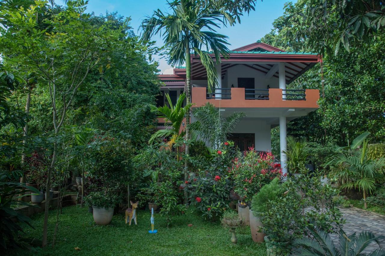 Sadee'S Place Dambulla Εξωτερικό φωτογραφία